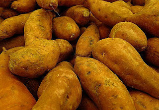 Boniato en Fichas de Plantas