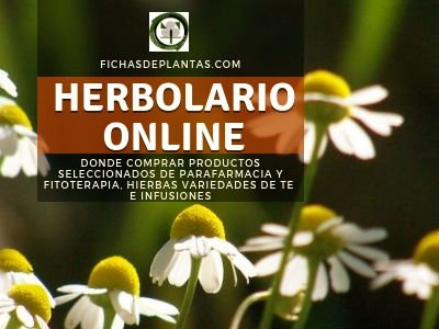 herbolario online