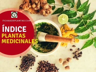 Indice de Plantas Medicinales