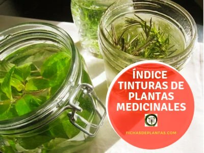 Tinturas de Plantas Medicinales
