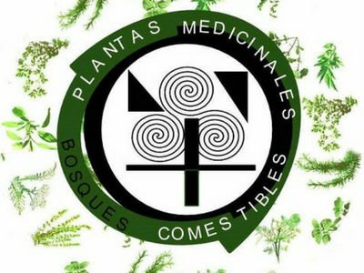 Indice de Plantas útiles