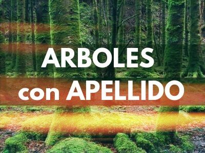 Arboles con Apellido en Fichas de Plantas