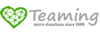 Logo Teaming