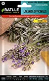 Semillas Aromáticas - Lavanda officinalis - Batlle