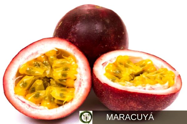 Maracuyá, Fruta de la Passiflora Edulis