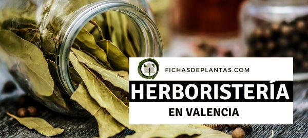 1 herboristas en Valencia