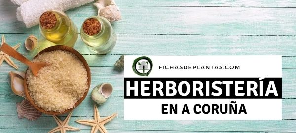 Herboristeria en A Coruña, España