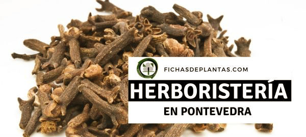 herboristeria en Pontevedra