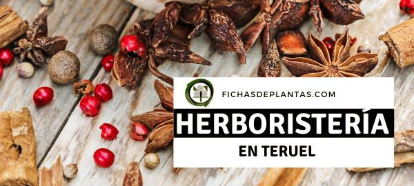 herboristas en Teruel