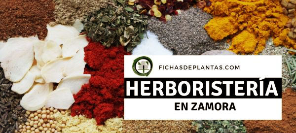 herboristerias en Zamora