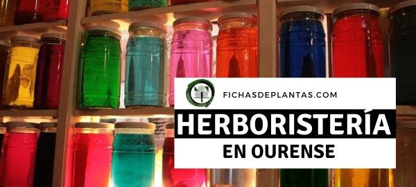 herboristas en Ourense