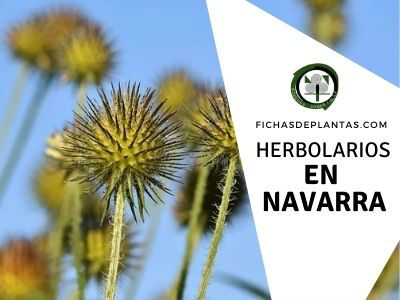 Herbolario Navarra, España