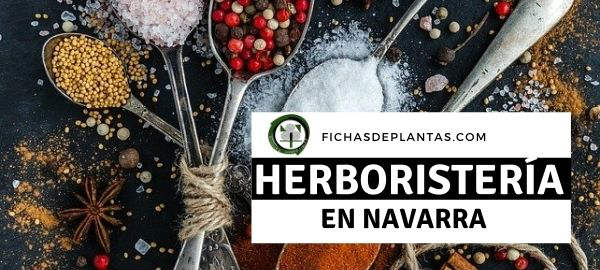 herboristas en Navarra