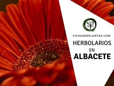 Herbolario y Herboristería en Albacete