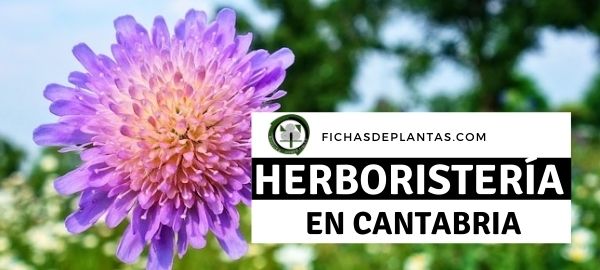 Herboristeria en Cantabria, España