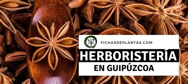 Herboristerías en Gipuzkoa , España