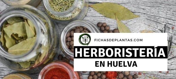 Herboristerías en Huelva, España
