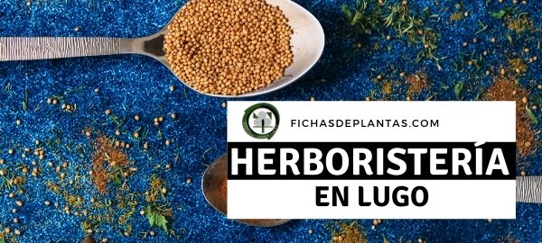 Herboristerías en Lugo, España
