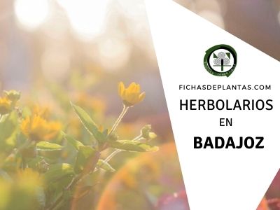 Herbolario y Herboristeria en Badajoz